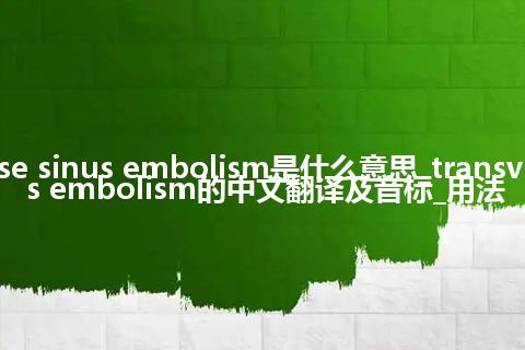 transverse sinus embolism是什么意思_transverse sinus embolism的中文翻译及音标_用法