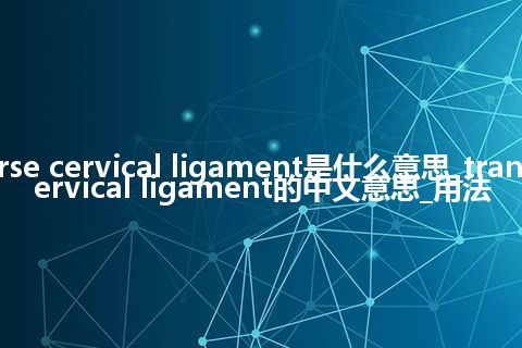 transverse cervical ligament是什么意思_transverse cervical ligament的中文意思_用法