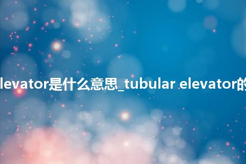 tubular elevator是什么意思_tubular elevator的意思_用法
