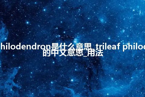 trileaf philodendron是什么意思_trileaf philodendron的中文意思_用法