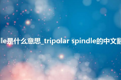 tripolar spindle是什么意思_tripolar spindle的中文翻译及音标_用法