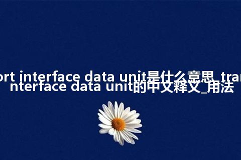 transport interface data unit是什么意思_transport interface data unit的中文释义_用法