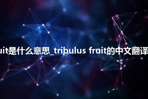 tribulus fruit是什么意思_tribulus fruit的中文翻译及音标_用法
