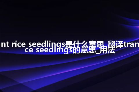 transplant rice seedlings是什么意思_翻译transplant rice seedlings的意思_用法