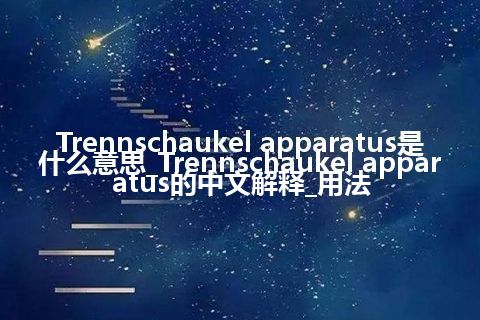 Trennschaukel apparatus是什么意思_Trennschaukel apparatus的中文解释_用法