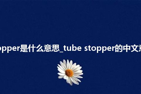 tube stopper是什么意思_tube stopper的中文意思_用法