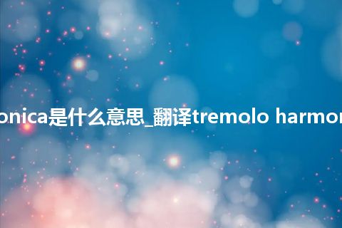 tremolo harmonica是什么意思_翻译tremolo harmonica的意思_用法