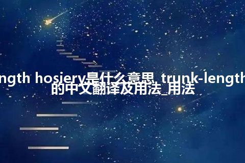 trunk-length hosiery是什么意思_trunk-length hosiery的中文翻译及用法_用法