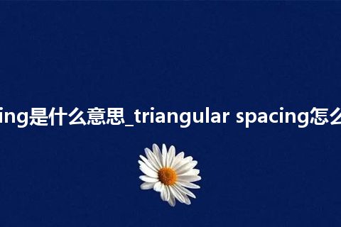triangular spacing是什么意思_triangular spacing怎么翻译及发音_用法