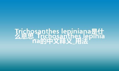 Trichosanthes lepiniana是什么意思_Trichosanthes lepiniana的中文释义_用法