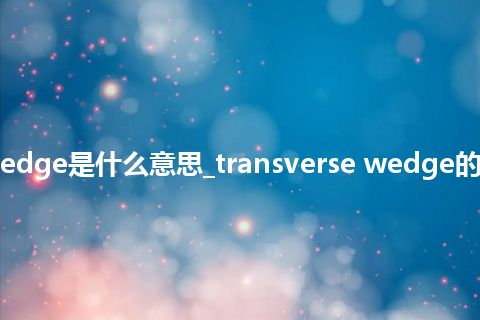 transverse wedge是什么意思_transverse wedge的中文释义_用法