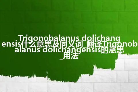 Trigonobalanus dolichangensis什么意思及同义词_翻译Trigonobalanus dolichangensis的意思_用法