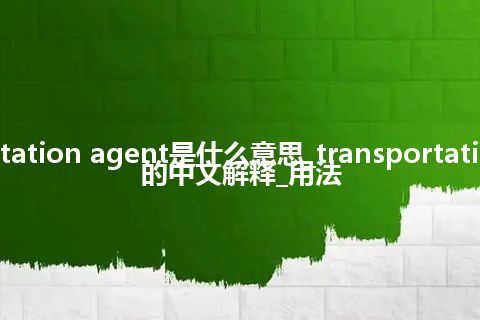 transportation agent是什么意思_transportation agent的中文解释_用法