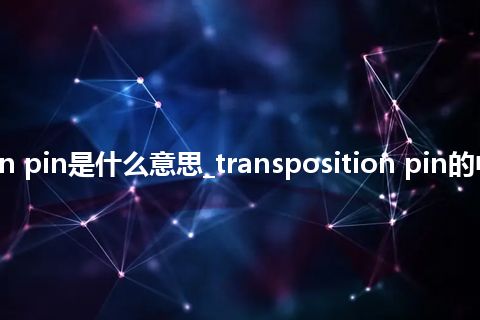 transposition pin是什么意思_transposition pin的中文意思_用法