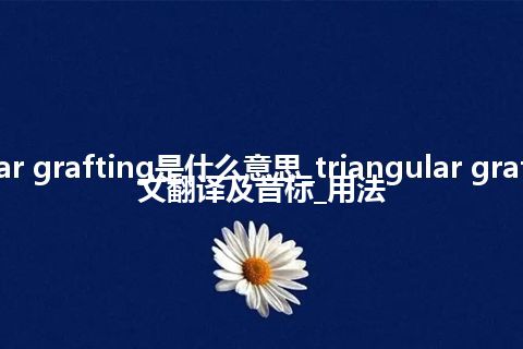 triangular grafting是什么意思_triangular grafting的中文翻译及音标_用法