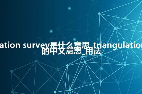 triangulation survey是什么意思_triangulation survey的中文意思_用法