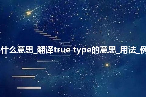 true type是什么意思_翻译true type的意思_用法_例句_英语短语