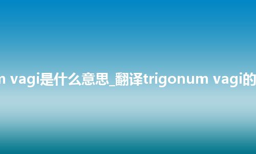 trigonum vagi是什么意思_翻译trigonum vagi的意思_用法