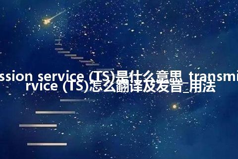 transmission service (TS)是什么意思_transmission service (TS)怎么翻译及发音_用法