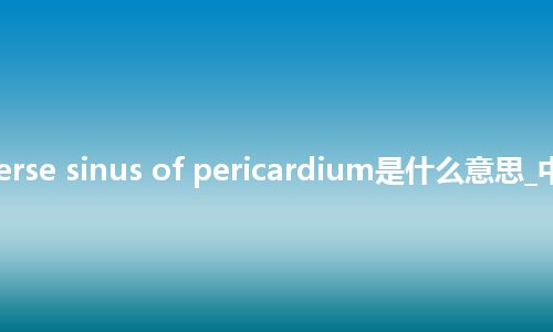 transverse sinus of pericardium是什么意思_中文意思
