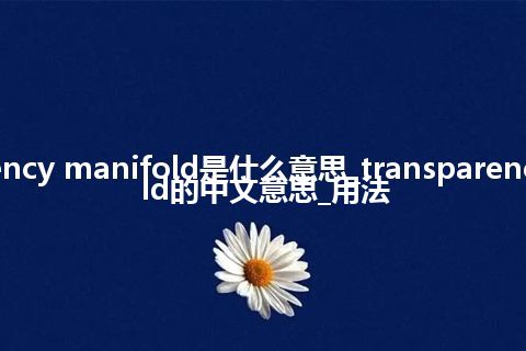 transparency manifold是什么意思_transparency manifold的中文意思_用法