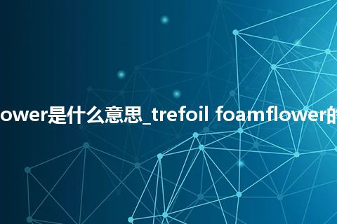 trefoil foamflower是什么意思_trefoil foamflower的中文释义_用法
