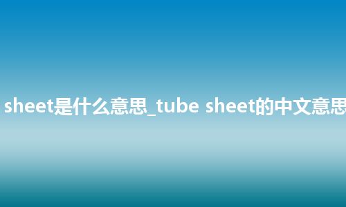 tube sheet是什么意思_tube sheet的中文意思_用法