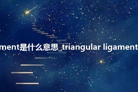 triangular ligament是什么意思_triangular ligament的中文意思_用法