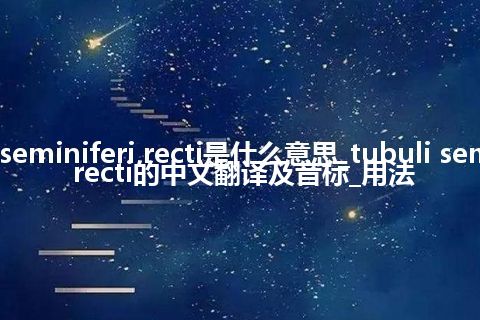 tubuli seminiferi recti是什么意思_tubuli seminiferi recti的中文翻译及音标_用法