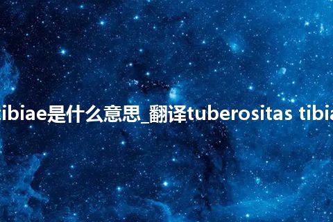 tuberositas tibiae是什么意思_翻译tuberositas tibiae的意思_用法