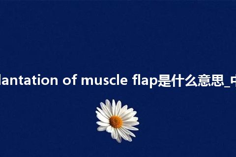 transplantation of muscle flap是什么意思_中文意思