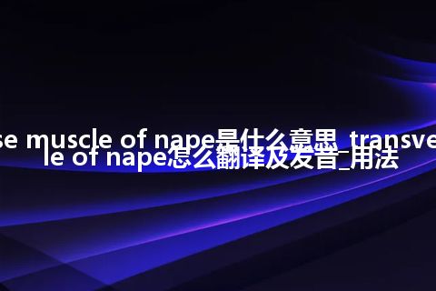 transverse muscle of nape是什么意思_transverse muscle of nape怎么翻译及发音_用法