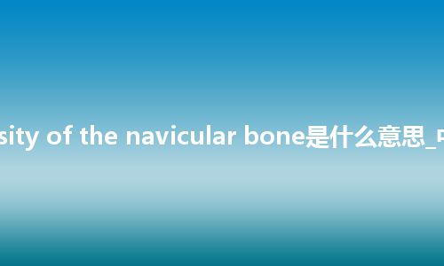 tuberosity of the navicular bone是什么意思_中文意思
