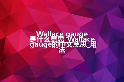 Wallace gauge是什么意思_Wallace gauge的中文意思_用法
