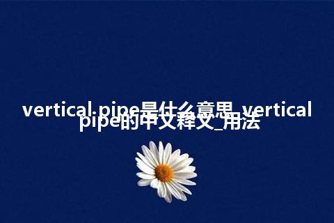 vertical pipe是什么意思_vertical pipe的中文释义_用法