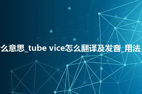 tube vice是什么意思_tube vice怎么翻译及发音_用法_例句_英语短语