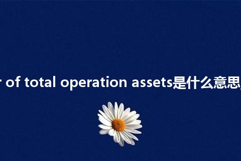 turnover of total operation assets是什么意思_中文意思