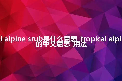 tropical alpine srub是什么意思_tropical alpine srub的中文意思_用法
