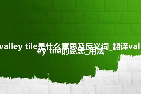 valley tile是什么意思及反义词_翻译valley tile的意思_用法