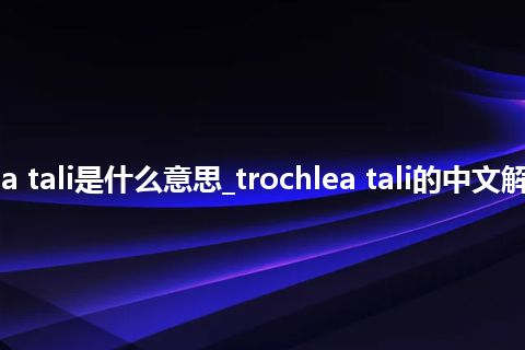 trochlea tali是什么意思_trochlea tali的中文解释_用法