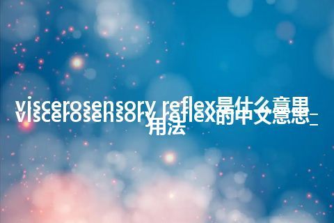 viscerosensory reflex是什么意思_viscerosensory reflex的中文意思_用法
