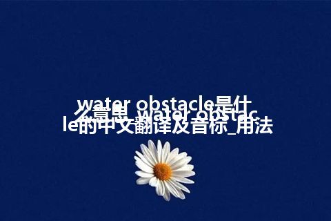 water obstacle是什么意思_water obstacle的中文翻译及音标_用法