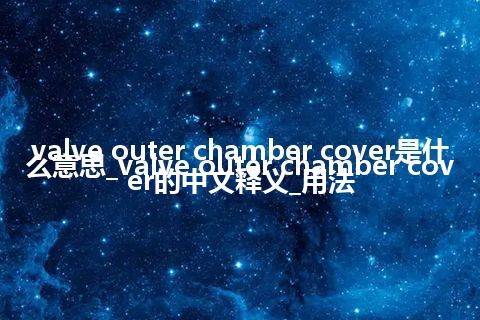 valve outer chamber cover是什么意思_valve outer chamber cover的中文释义_用法