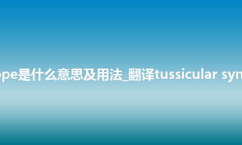 tussicular syncope是什么意思及用法_翻译tussicular syncope的意思_用法