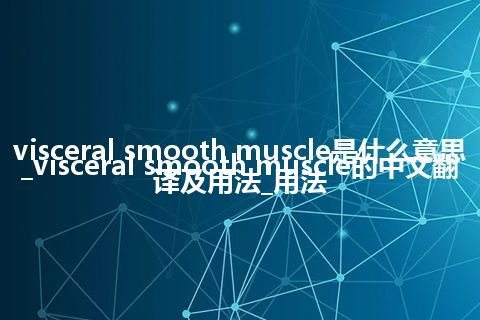 visceral smooth muscle是什么意思_visceral smooth muscle的中文翻译及用法_用法