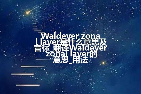 Waldeyer zonal layer是什么意思及音标_翻译Waldeyer zonal layer的意思_用法