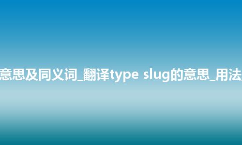 type slug什么意思及同义词_翻译type slug的意思_用法_例句_英语短语
