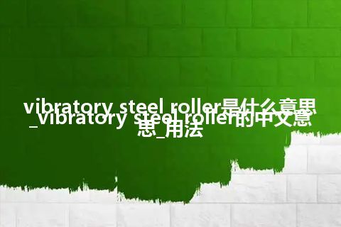 vibratory steel roller是什么意思_vibratory steel roller的中文意思_用法