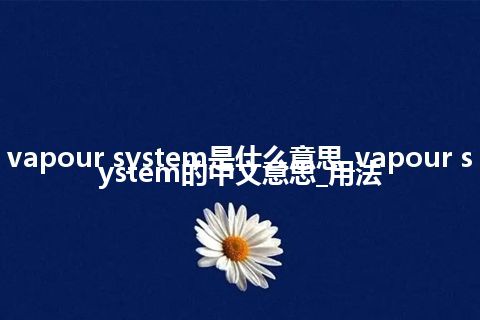 vapour system是什么意思_vapour system的中文意思_用法