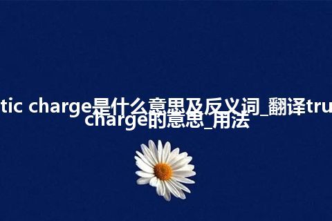 true magnetic charge是什么意思及反义词_翻译true magnetic charge的意思_用法
